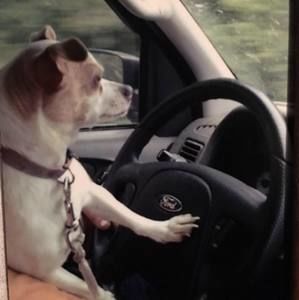 Meet your Posher, Lawrence